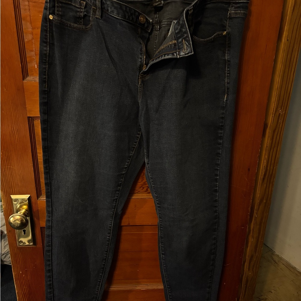 Lane Bryant Black Skinny Jeans Sleek Fit